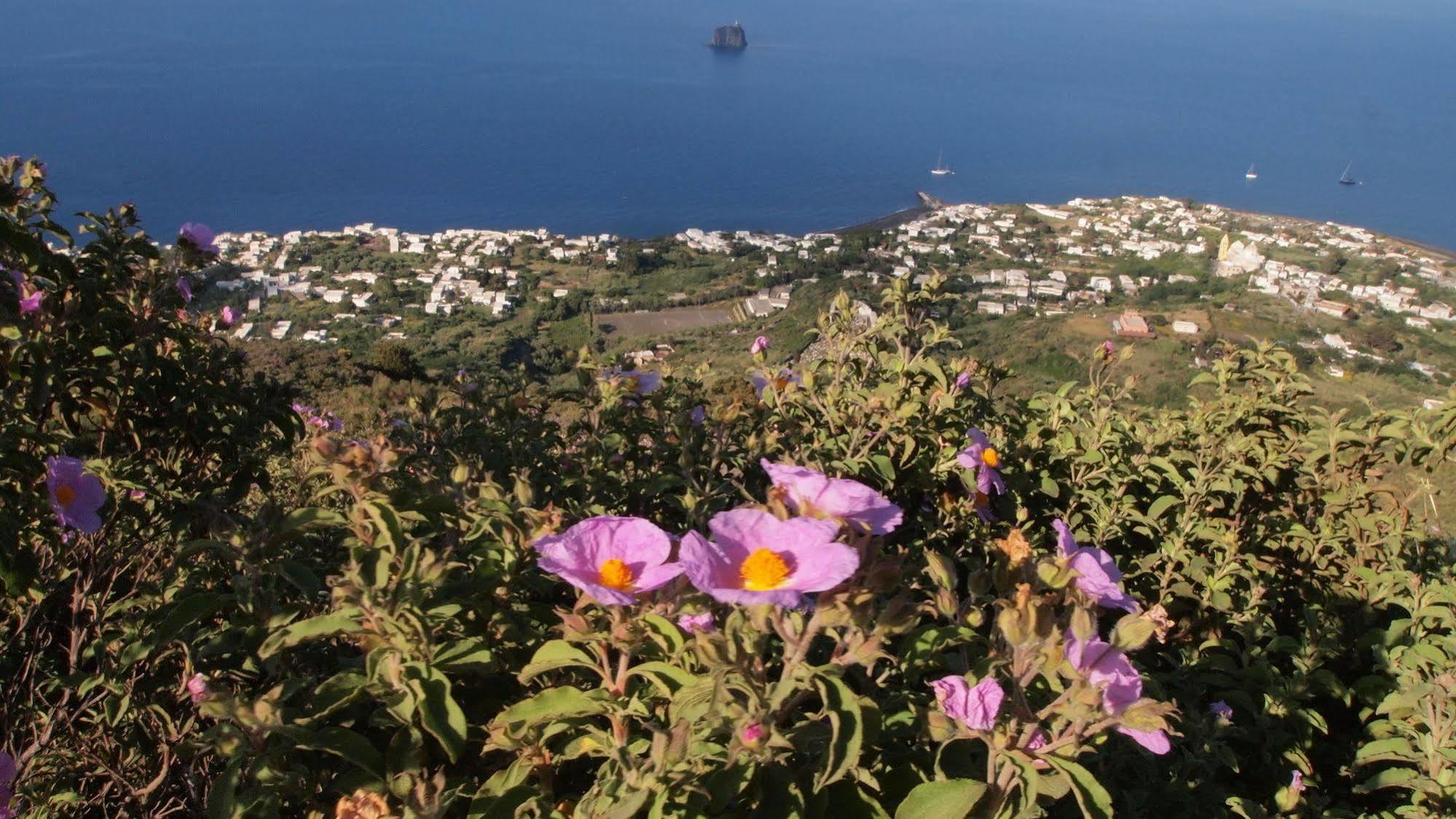 Il Vulcano A Piedi Hotel Stromboli Bagian luar foto